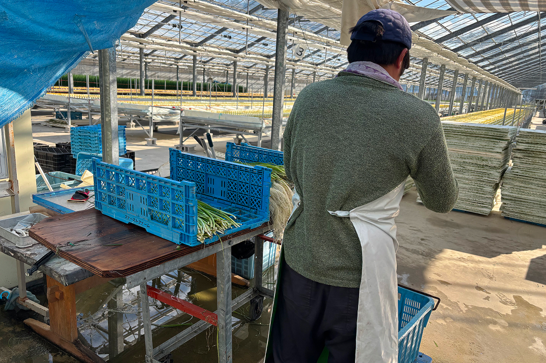 【地域貢献】福祉と農業の力を融合し、社会の課題を解決する