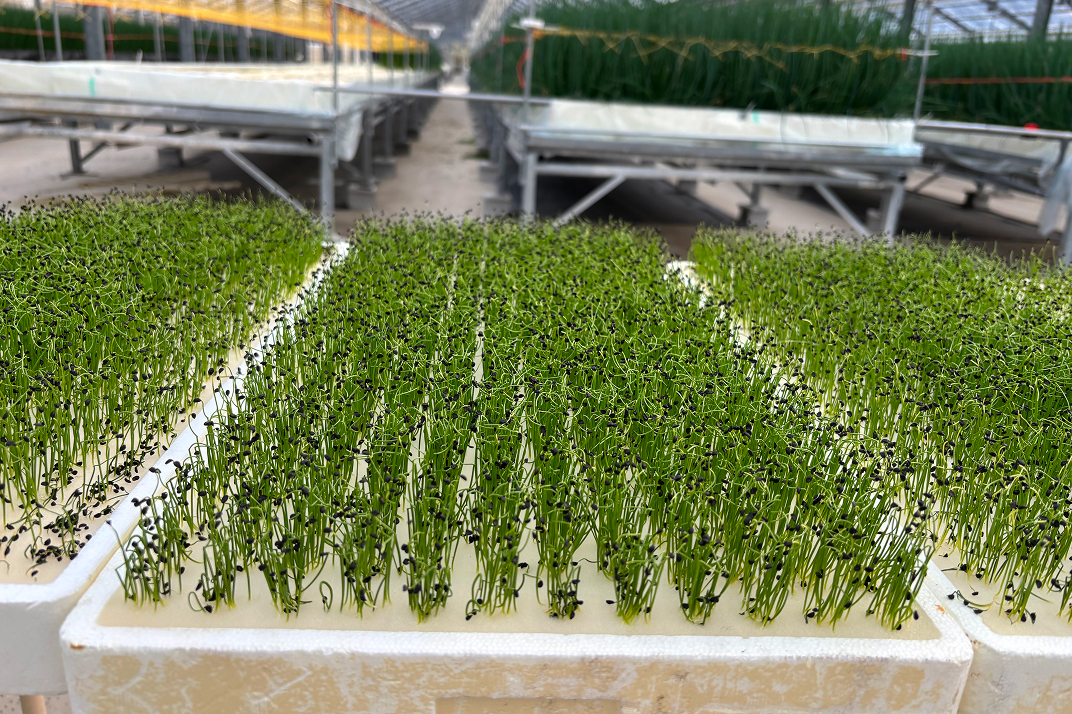 【成長と安定】働く力が未来を拓く、継続的なスキルアップと工賃確保