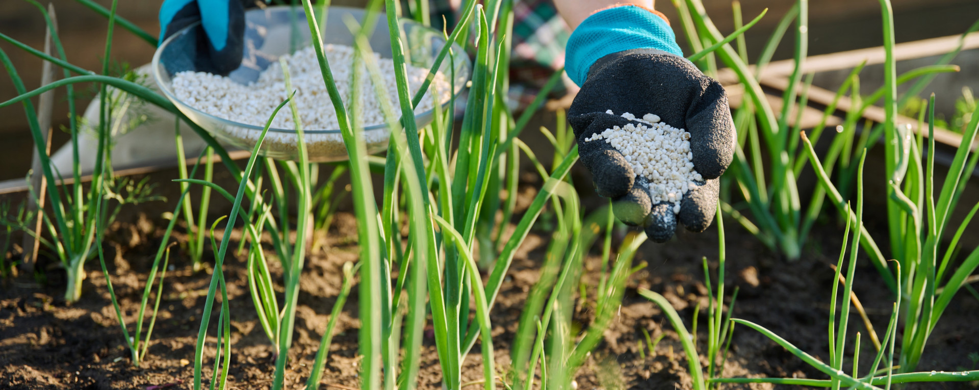 お問い合わせはこちら
