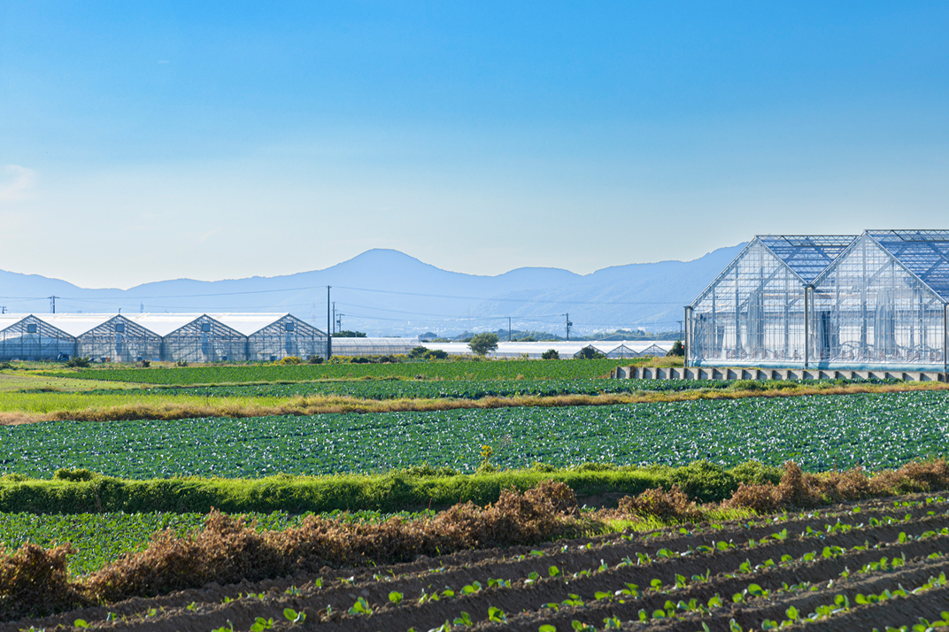 【高工賃】安定収入を実現する、新しい形の福祉✕農業